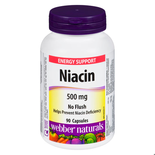 WEB NIACIN NO FLUSH 500MG CAPS 90